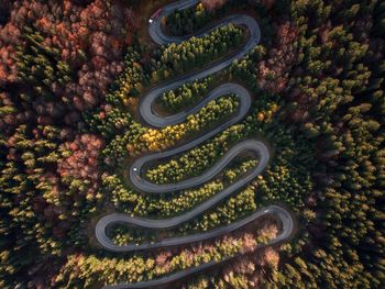 Aerial view of amazing curved road trough the colorful autumn forest. travel, transportation concept