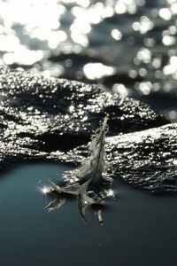 Close-up of water drops on underwater