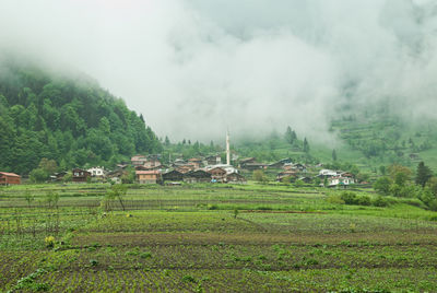 Scenic view of agricultural field against sky