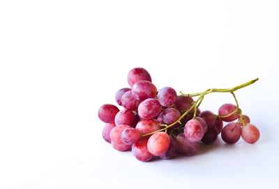 Close-up of grapes against white background