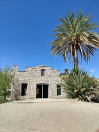 Palm trees and building against blue sky