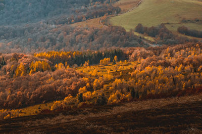 Scenic view of landscape during autumn