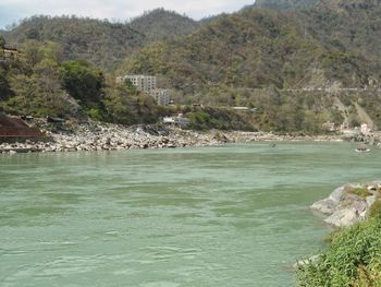 Scenic view of lake by trees against sky