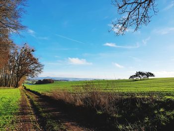 Scenic view of field against sky