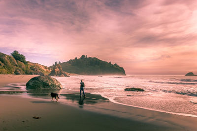 Scenic view of sea and a person walking a dog against sky during sunset in california 