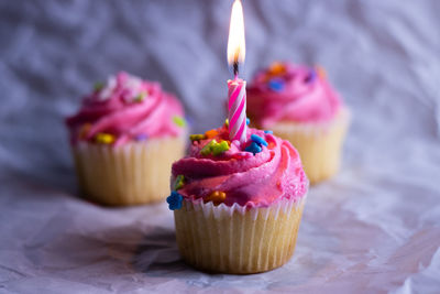 Close-up of cupcakes against blurred background