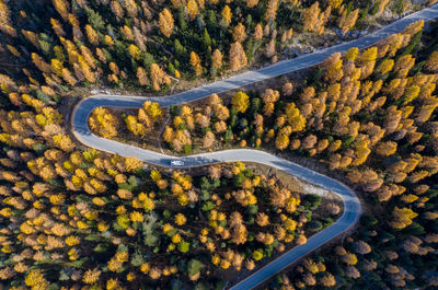 High angle view of road amidst trees during autumn