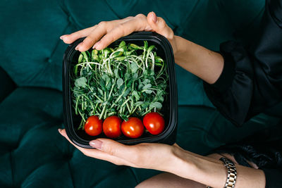 Young sprouts of greens and tomatoes in a plastic box in female hands