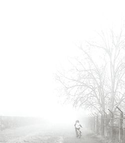 Woman standing on tree trunk