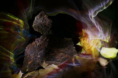 Close-up of multi colored light painting