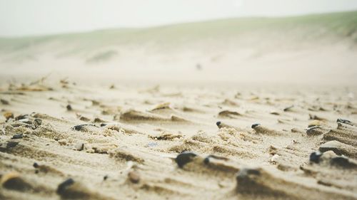 Surface level of stones and sand