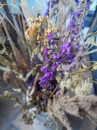 Close-up of purple flowering plants