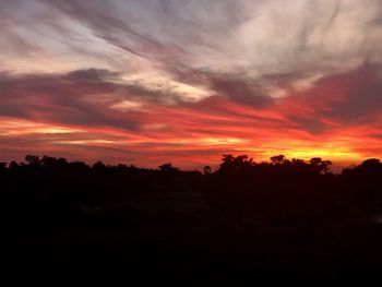 Silhouette trees against dramatic sky during sunset