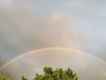 Low angle view of rainbow over trees