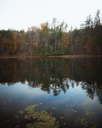 Reflection of trees in lake against sky