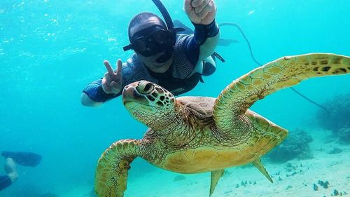 Young man swimming in sea