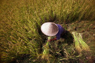 High angle view of farmer working on field during sunny day