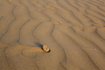 High angle view of a sand