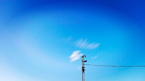 Low angle view of bird on cable against clear blue sky