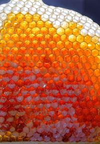 Close-up of orange berries