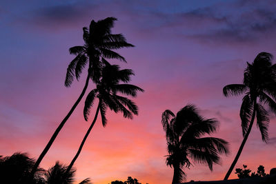 Sunset on fiji