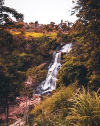 Scenic view of waterfall in forest during autumn