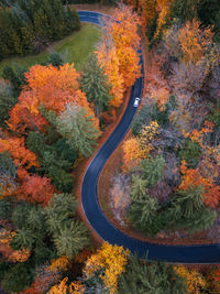 High angle view of road amidst trees