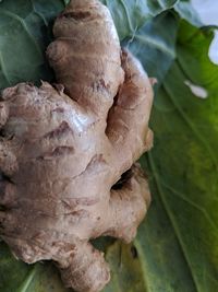 High angle view of bread on leaves