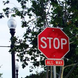 Low angle view of road sign