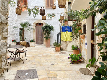 High angle view of potted plants on footpath