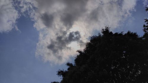 Low angle view of silhouette trees against sky