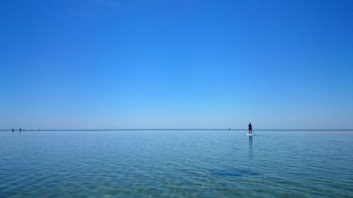 Rear view of person paddleboarding on sea