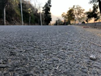 Surface level of road by trees in city