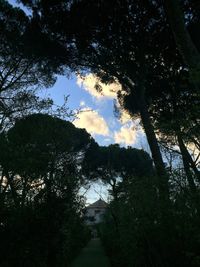 Low angle view of trees and building against sky