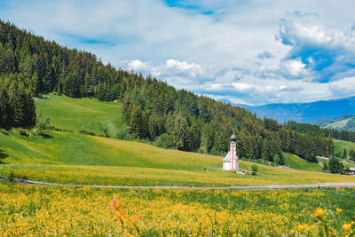 Chapel on a field with buttercups, hills and mountains on background