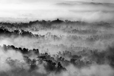 Borobudur is the largest buddhist temple in the world, built at 8th is located in central java