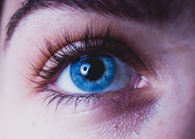 Extreme close-up of human eye