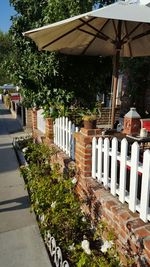 Plants growing against built structure