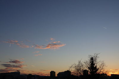 Low angle view of silhouette trees against sky at night