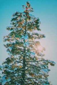 Low angle view of tree against sky