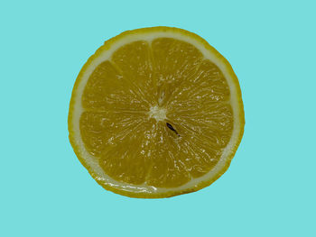 Close-up of lemon slice against white background