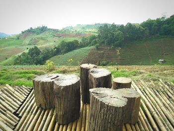 Wooden fence on grassy field