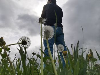 Rear view of man and plants against sky