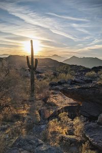 Scenic view of desert during sunset