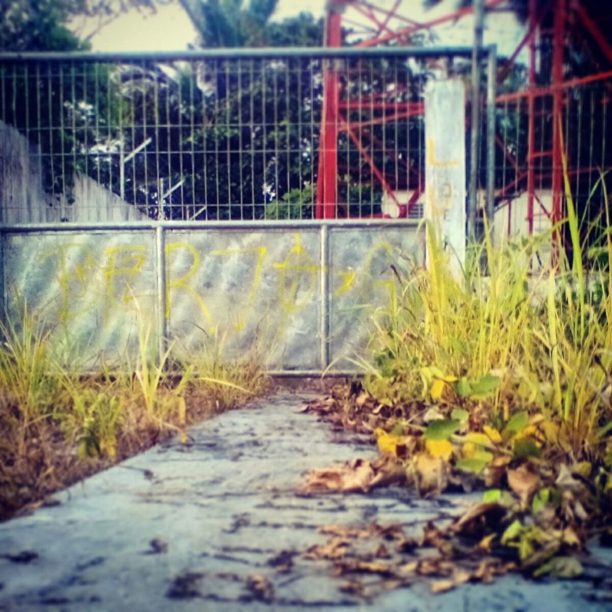 built structure, architecture, fence, metal, the way forward, grass, plant, chainlink fence, selective focus, day, railing, no people, focus on background, outdoors, protection, surface level, transportation, security, abandoned, safety