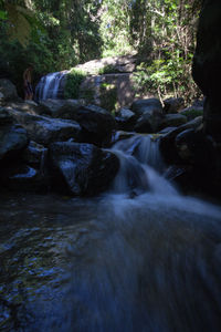 Scenic view of waterfall in forest