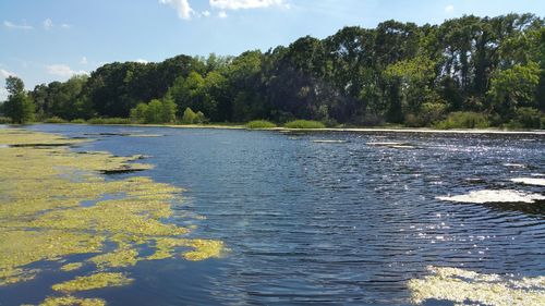 Scenic view of river against sky