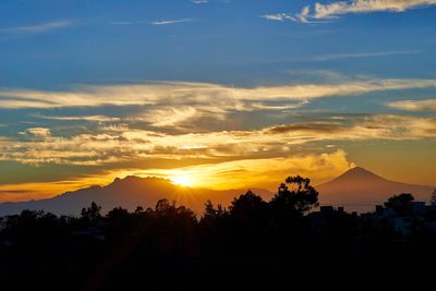 Silhouette trees against sky during sunset