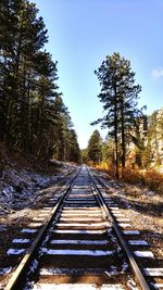 Railroad tracks amidst trees against sky