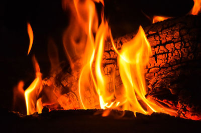 Close-up of fire burning at night